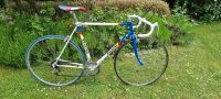 Raleigh Rennrad Retro Stadtrad Nordrhein-Westfalen - Warendorf Vorschau