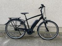 E-TREKKINGBIKE GUDEREIT EC3 HERREN 400WH AKKU Mecklenburg-Vorpommern - Anklam Vorschau