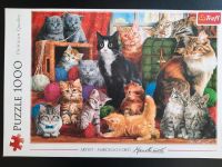 Puzzle "Katzen", 1000 Teile Nordrhein-Westfalen - Hilden Vorschau