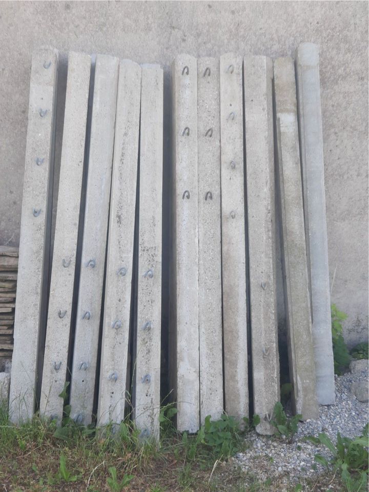 Weizaunpfähle aus Beton in Reichling