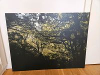 Fotografie auf Aluminium gedruckt (60x80 cm, Wald) als Bild Berlin - Lichtenberg Vorschau