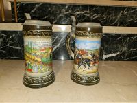 2 Bierkrüge mit Zinndeckel Gerzit Bierkrug Sammler Fundstück Bayern - Mömlingen Vorschau