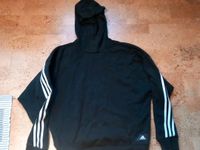 Hoodie kaum getragen Niedersachsen - Hesel Vorschau