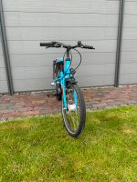 Jungenfahrrad  / Fahrrad / Falter / 20 Zoll Niedersachsen - Brake (Unterweser) Vorschau