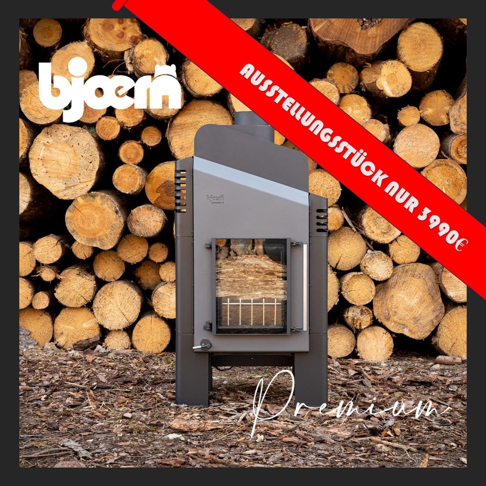 Ausstellungstück- BJOERN Premium D-06 Holzofen Kaminofen Holzofen in Stendal