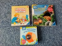 3 Babybücher RAVENBURGER 6 M + , 1 Jahr + Wimmelbuch Rasselbuch Niedersachsen - Nordenham Vorschau