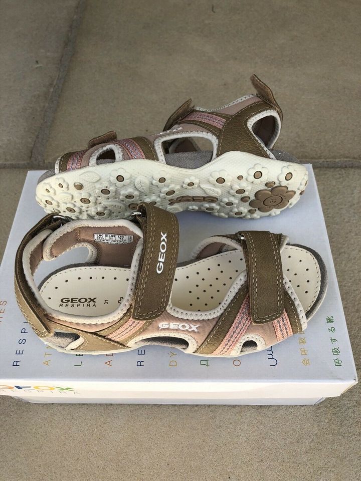 GEOX Sandalen NEU Gr 31 in Offenbach