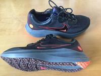 Nike Air Zoom Winflo 8 Shield Laufschuh 45,5 Hessen - Bruchköbel Vorschau