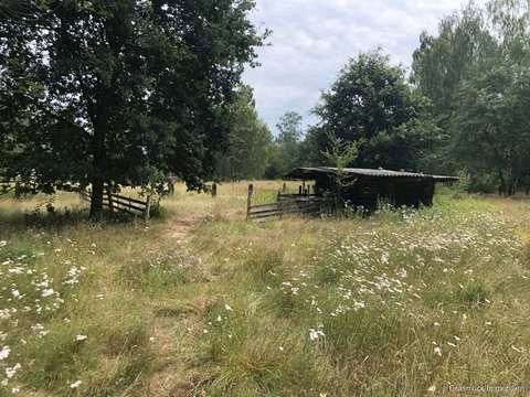 Wiesengrundstück Schrebergarten in Blieskastel gesucht in Blieskastel