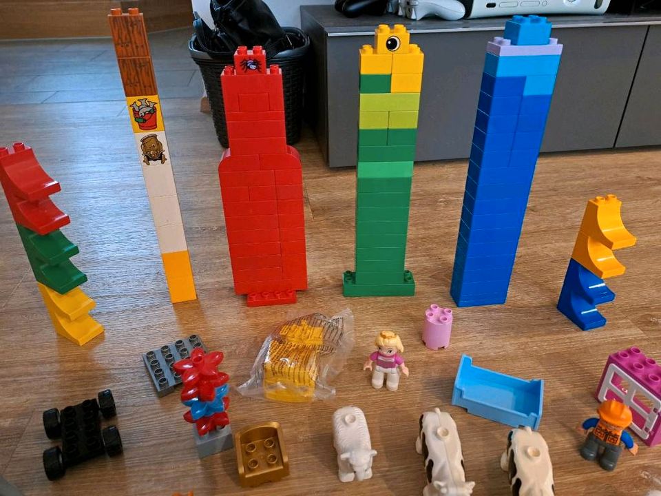 Lego Duplo Steine Tiere Blumen Dach Auto Figuren teilweise neu in Nersingen