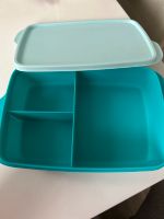 Tupperware Brotdose blau Nordrhein-Westfalen - Gütersloh Vorschau