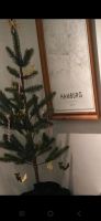 Weihnachtsbaum Tannebaum Ikea Stuttgart - Stuttgart-Nord Vorschau