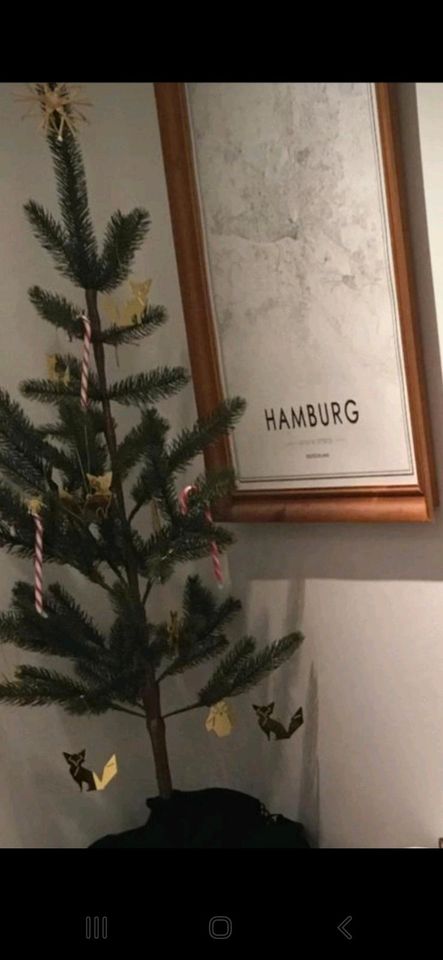 Weihnachtsbaum Tannebaum Ikea in Stuttgart