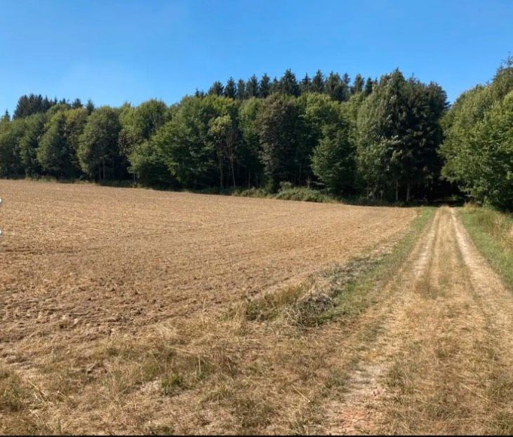 Acker Landwirtschaftliche Fläche Garten Wiese Weide Grundstück in Usingen