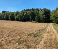 Acker Landwirtschaftliche Fläche Garten Wiese Weide Grundstück Hessen - Usingen Vorschau