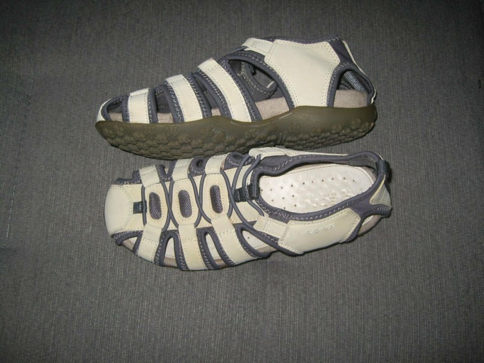 Damenschuhe Schuhe Kinderschuhe Gr. 36 GEOX Respira in Schlangen
