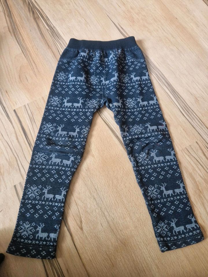 Dicke Leggings in Oyten