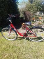 Damen City Fahrrad 28" Nordrhein-Westfalen - Hilden Vorschau