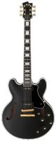 FGN Masterfield Semi, Black, Koffer, Limited P90 Version Hessen - Limburg Vorschau