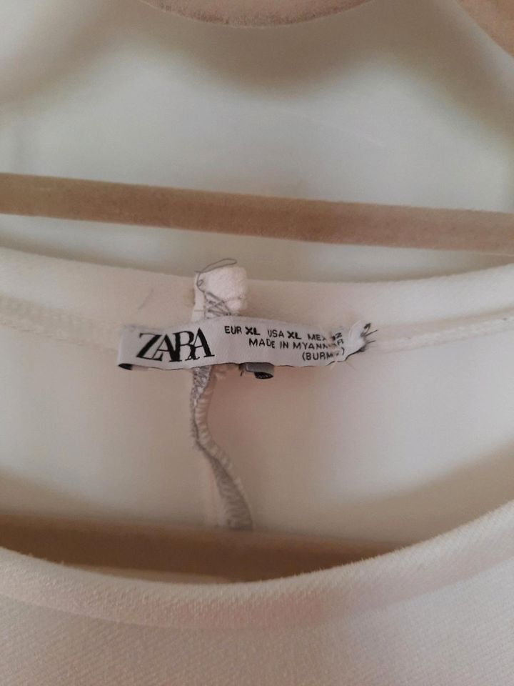 Tolles Kleid, #Zara,Gr.XL,neuwertig in Lohr (Main)
