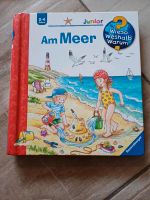 Wieso weshalb warum junior Buch Am Meer Baden-Württemberg - Frickingen Vorschau