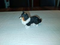 Schleich Hund Collie aus Reitshop Sonderedition Nordrhein-Westfalen - Lemgo Vorschau