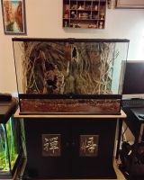 Terrarium 90x45x60 cm, Glas noch nie bewohnt mit Schrank Bayern - Fürstenfeldbruck Vorschau