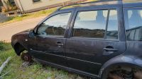 VW Golf 4 oder Bora Fahrertür schwarz LC9Z Rheinland-Pfalz - Homberg Vorschau