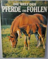Buch, Sachbuch, Pferde und Fohlen Niedersachsen - Schiffdorf Vorschau