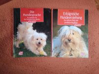 Buch Hundeerziehung Brandenburg - Kyritz Vorschau