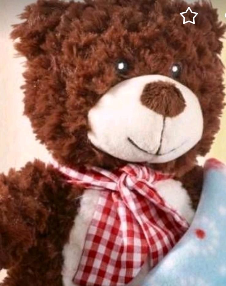 Teddybär mit Fleecedecke neu und unbenutzt in Braunlage