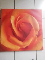 Bild Gemälde 'Rose' rot-orange 58cm Rheinland-Pfalz - Framersheim Vorschau
