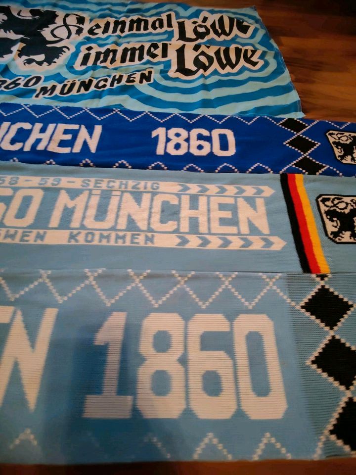 TSV 1860 München Schal in Fürstenfeldbruck