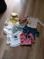 Langarmshirt Größe 62 Set/Paket Niedersachsen - Lindhorst Vorschau