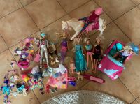 Barbie interaktives Pferd, Auto, Konvolut, Sammlung Schleswig-Holstein - Sankelmark Vorschau