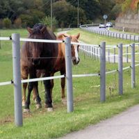 Recyclingpfahl  8,0x200 cm, Rundpfosten grau mit Spitze, Zaun Mecklenburg-Vorpommern - Grabowhöfe Vorschau