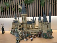 Lego Sammlung Harry Potter Schleswig-Holstein - Klein Wesenberg Vorschau