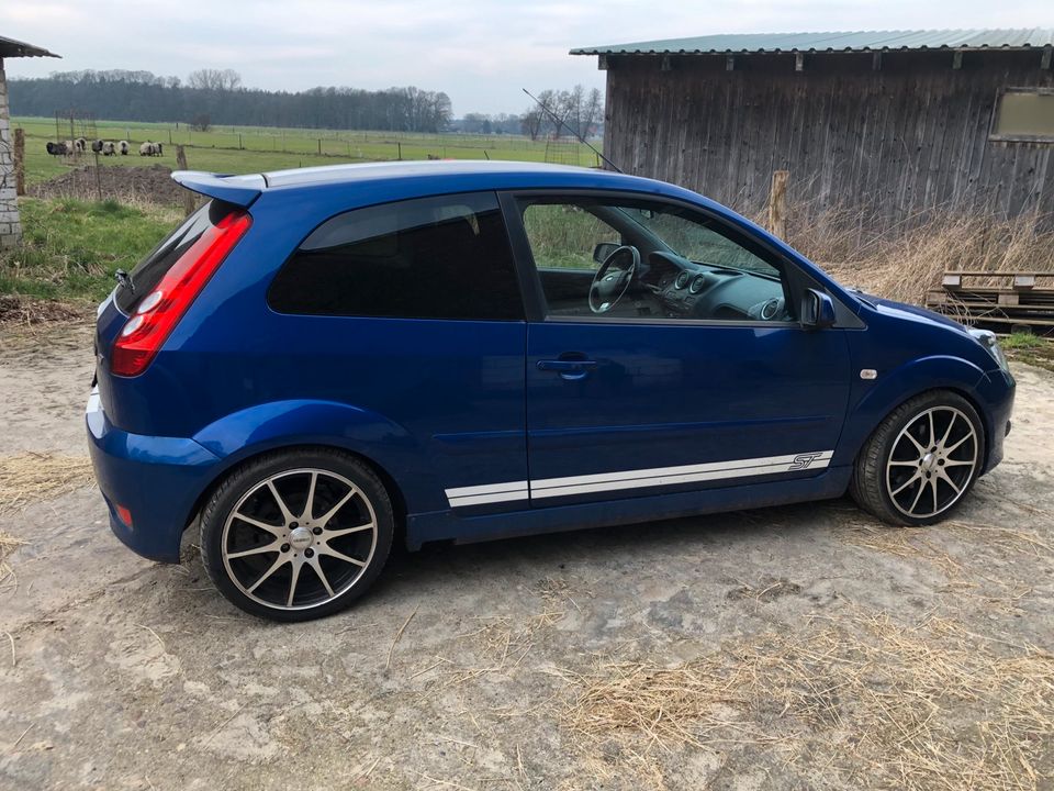 Schlachte Ford Fiesta ST150 MK6 Facelift Ez.06/2006 in blau in Rodewald