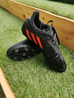 Adidas Fußball Schuhe Größe 35 Brandenburg - Frankfurt (Oder) Vorschau