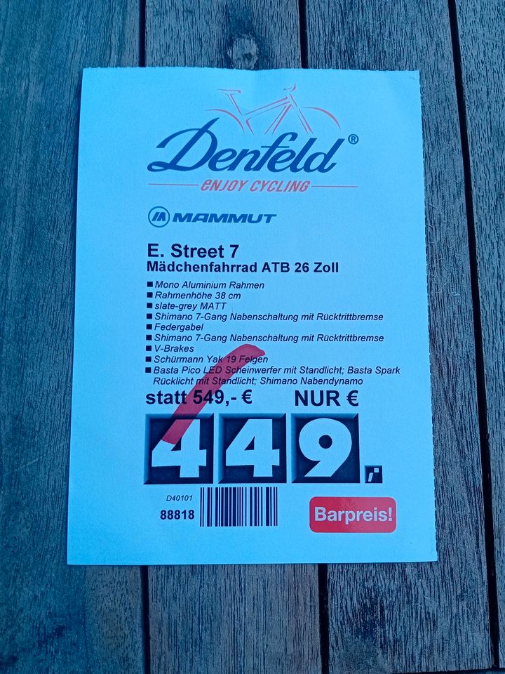 26 Zoll  Fahrrad Mammut ATB E. Street in Wehrheim