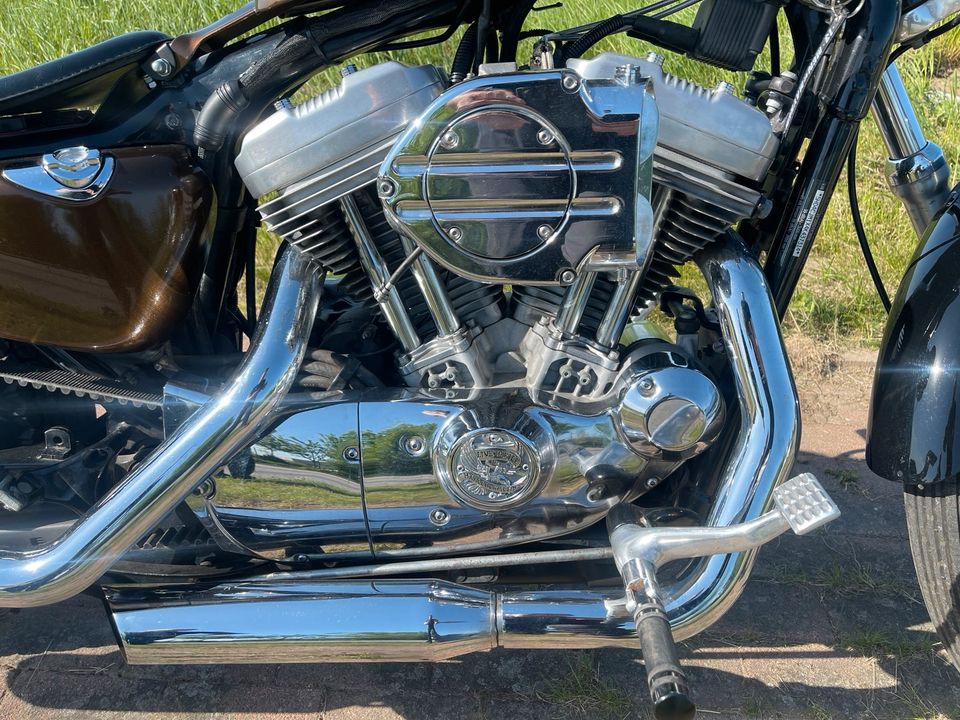 Harley Davidson Sportster 883 in Strasburg 