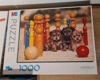 verschiedene Puzzle je 1000 Teile Ravensburger und andere Bayern - Medlingen Vorschau