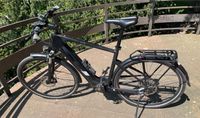 E-Bike Pegasus Enovo EVO 10 Carbon 85 nm Bosch CX Schleswig-Holstein - Kiel Vorschau