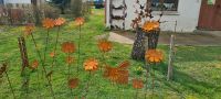 Blumen Set 3 Stück Rost Deko Naturrost Baden-Württemberg - Kanzach (bei Bad Buchau) Vorschau