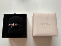 Pandora Lederarmband mit Charms Sachsen - Ottendorf-Okrilla Vorschau