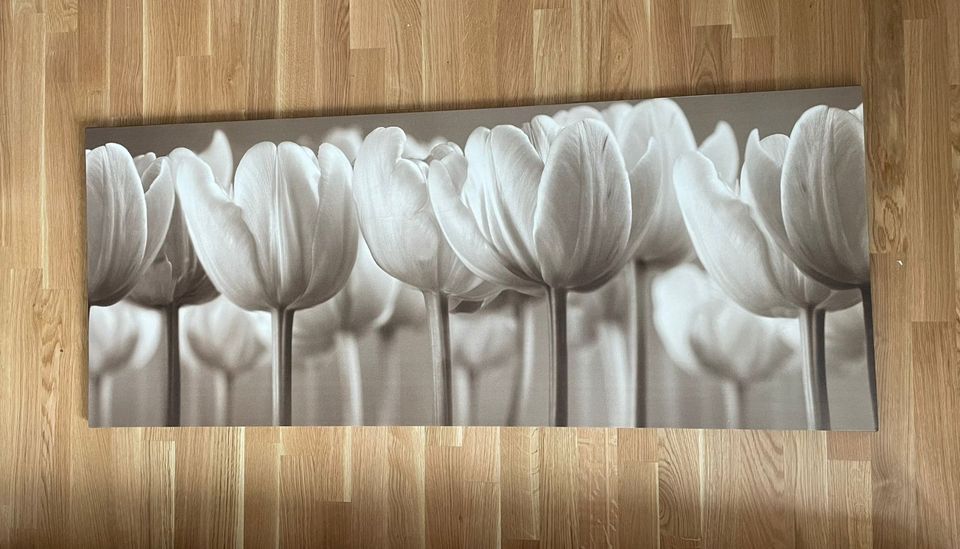 Leinwandbild Tulpen 140x58 cm in Beelitz