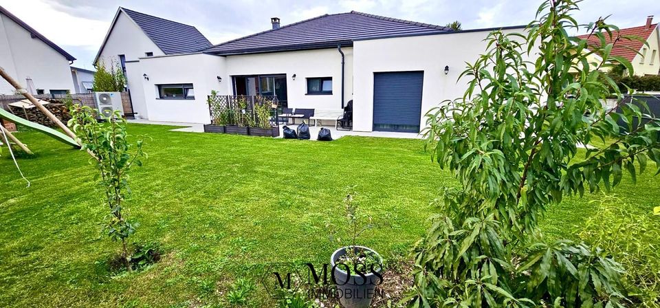 Moderner Luxus- Bungalow mit großem Grundstück in Frankreich - direkt an der Grenze in Breisach am Rhein  