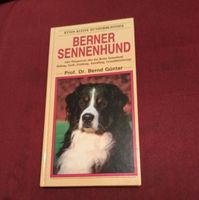 Berner Sennenhund Kynos verlag Schweiz Rheinland-Pfalz - Neuwied Vorschau