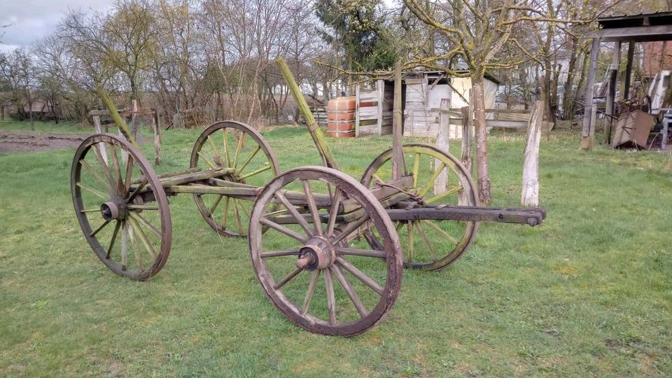 Leiterwagen in Dergenthin