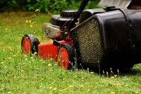 Gartenpflege und Gartenarbeiten aller Art Nordfriesland - Braderup Vorschau